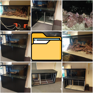 Office Marine Aquarium (2016)
